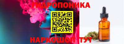 крисы Краснознаменск
