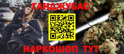 крисы Краснознаменск