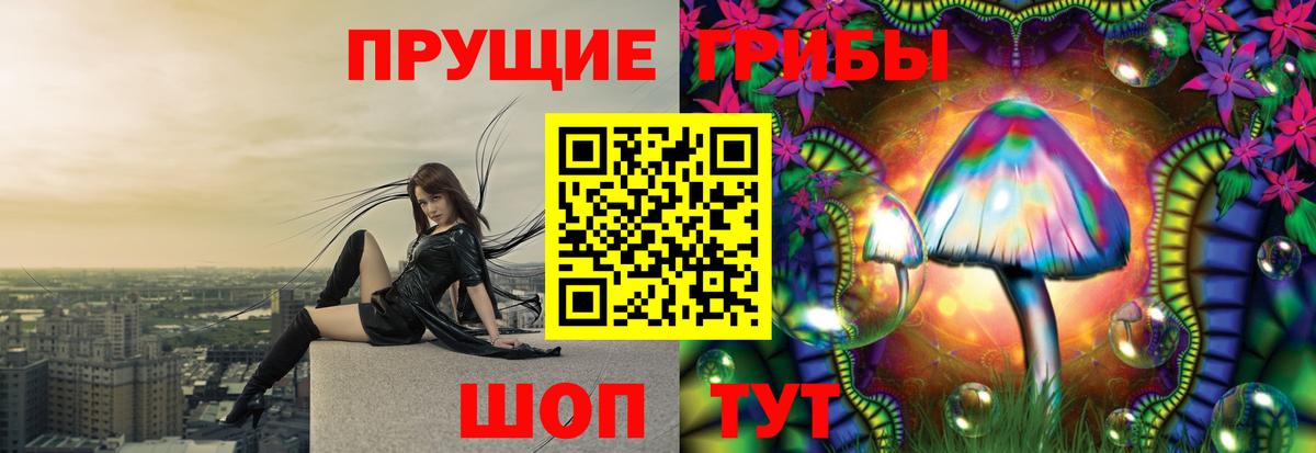 Псилоцибиновые грибы прущие грибы  Вход с VPN  Видное 